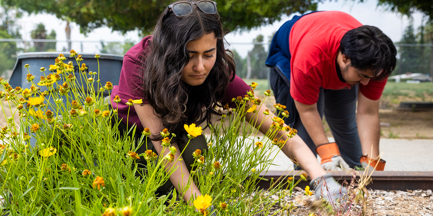 Sustainable farms club - masthead